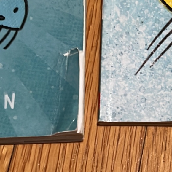 Super narwhal - Picture 4 of 4